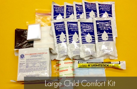 <strong>Part Number</strong> CHILD-KIT-L
Products/Kits displayed may vary slightly than portrayed.