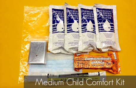 <strong>Part Number</strong> CHILD-KIT-M
Products/Kits displayed may vary slightly than portrayed.
