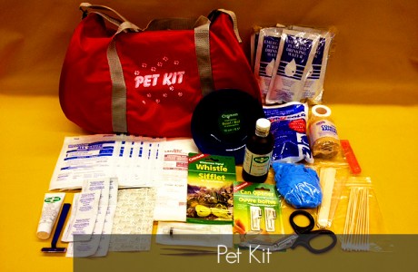 <strong>Part #PET-KIT</strong>
For any inquires, please contact us. 
Products/Kits displayed may vary slightly than portrayed.